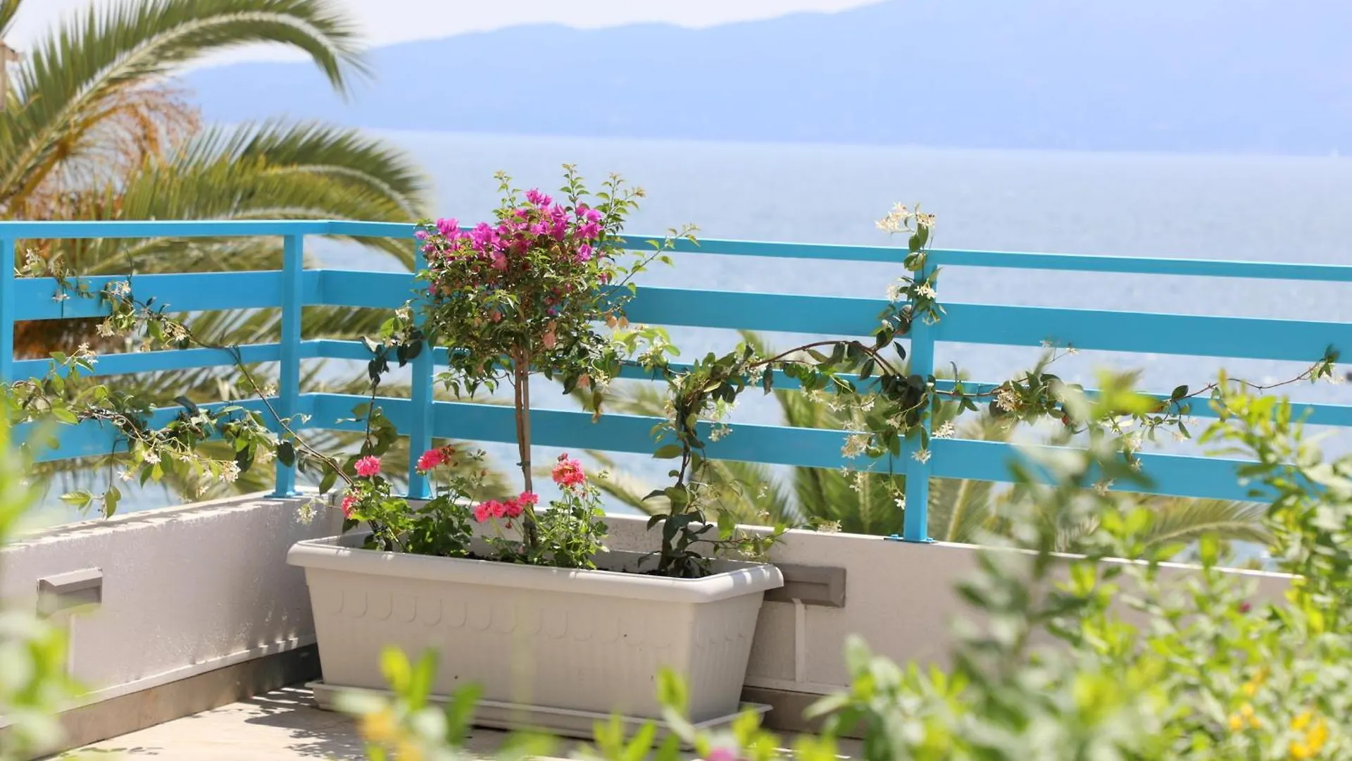Oni Apartments Sarande